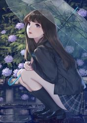Rule 34 | 1girl, bag, black footwear, black hair, black jacket, black socks, blazer, blue bag, blue skirt, bush, caidychen, cobblestone, commentary, eyelashes, fingernails, flower, from side, full body, hand on own knee, highres, holding, holding bag, holding umbrella, hydrangea, jacket, legs together, lips, loafers, long hair, long sleeves, looking away, looking to the side, looking up, miniskirt, nail polish, on ground, original, outdoors, parted lips, pink nails, plaid, plaid skirt, plant, pleated skirt, purple eyes, purple flower, rain, red lips, ripples, school bag, school uniform, shoes, skirt, socks, solo, squatting, straight hair, symbol-only commentary, teeth, transparent, transparent umbrella, turning head, umbrella