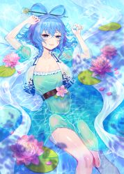 Rule 34 | 1girl, absurdres, afloat, blue dress, blue hair, breasts, commentary, dress, flower, hagoromo, hair ornament, highres, in water, kaku seiga, lee jin byeol, lily pad, lotus, partially submerged, petals, petals on liquid, pink flower, puffy sleeves, ripples, shallow water, shawl, touhou, water, wet
