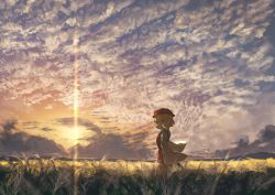 Rule 34 | aki minoriko, autumn, backlighting, berabou, blonde hair, cloud, cloudy sky, diffraction spikes, dress, food, from side, fruit, grapes, hat, looking to the side, mob cap, outdoors, puffy sleeves, red eyes, red hat, scenery, short hair, sky, solo, standing, sunset, touhou, wind