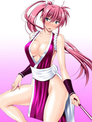 Rule 34 | 1girl, alternate color, bare shoulders, blue eyes, breasts, cleavage, cosplay, fatal fury, gradient background, highres, large breasts, long hair, lyrical nanoha, mahou shoujo lyrical nanoha, mahou shoujo lyrical nanoha a&#039;s, pelvic curtain, pink background, pink hair, ponytail, sen (sansui), shiranui mai, shiranui mai (cosplay), signum, solo, sweatdrop, the king of fighters, very long hair