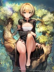 Rule 34 | 1girl, arm support, armband, bare legs, blonde hair, bob cut, breasts, caesty, character request, china dress, chinese clothes, cleavage cutout, clothing cutout, copyright request, dress, green eyes, hair between eyes, kaizin rumble, kazin rumble, leg up, nature, short hair, side slit, sitting, small breasts, solo, tree, watermark