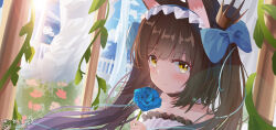 Rule 34 | 1girl, absurdres, alternate costume, animal ear fluff, animal ears, artist name, azur lane, bare shoulders, blue bow, blue flower, blue rose, blue sky, blush, bow, brown hair, closed mouth, cloud, crown, date shichuan majiang, dated, day, dress, evening gown, flower, fox ears, fox girl, frilled dress, frilled hairband, frills, from side, hair bow, hairband, highres, holding, holding flower, long hair, looking at viewer, mini crown, nagato (azur lane), nagato (guardian fox&#039;s procession) (azur lane), off-shoulder dress, off shoulder, official alternate costume, outdoors, pillar, plant, rose, sidelocks, sky, smile, solo, strapless, strapless dress, tilted headwear, twintails, upper body, vines, watermark, white dress, yellow eyes