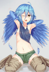 Rule 34 | 10s, 1girl, absurdres, ahoge, armpits, arms behind head, blue hair, blue wings, blush, breast slip, breasts, convenient censoring, cutoffs, feathered wings, feathers, full body, gradient background, harpy, highres, monster girl, monster musume no iru nichijou, navel, one breast out, one eye closed, open mouth, papi (monster musume), ruma imaginary, short shorts, shorts, sitting, small breasts, solo, sweat, talons, wariza, winged arms, wings, yellow eyes
