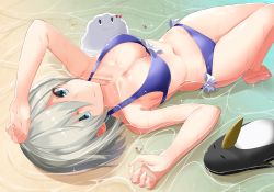 Rule 34 | 1girl, arm up, barefoot, beach, bikini, bird, blue bikini, blue eyes, bow, bow bikini, breasts, cleavage, closed mouth, day, failure penguin, hamakaze (kancolle), highres, kantai collection, leg up, looking at viewer, lossy-lossless, lying, medium breasts, miss cloud, navel, non-web source, on back, outdoors, partially submerged, penguin, short hair, silver hair, smile, solo, sparkle, swimsuit, takehana note, wet