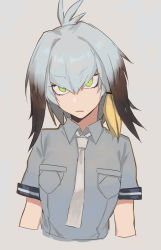 Rule 34 | 10s, 1girl, 8c, bad id, bad pixiv id, black hair, blonde hair, breast pocket, closed mouth, green eyes, grey background, grey hair, grey necktie, grey theme, kemono friends, looking at viewer, multicolored hair, necktie, pocket, shoebill (kemono friends), short sleeves, simple background, solo, upper body