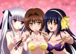Rule 34 | 10s, 3girls, :d, absolute duo, absurdres, ahoge, bare shoulders, between breasts, bikini, blue hair, blush, breasts, brown eyes, brown hair, cleavage, food, food on face, hair intakes, hair ribbon, hairband, heart, highres, hotaka miyabi, large breasts, long hair, looking at viewer, mouth hold, multiple girls, official art, open mouth, outstretched arm, pocky, purple bikini, purple eyes, ribbon, sidelocks, silver hair, small breasts, smile, swimsuit, tachibana tomoe (absolute duo), two side up, upper body, white bikini, yamada yuuko, yellow bikini, yellow eyes, yurie sigtuna