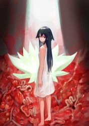 Rule 34 | 1girl, arm at side, bad id, bad pixiv id, bare arms, bare shoulders, barefoot, black hair, closed mouth, commentary request, dokomon, dress, flesh, green eyes, hair between eyes, highres, korean commentary, long hair, looking at viewer, looking to the side, saya (saya no uta), saya no uta, sleeveless, sleeveless dress, solo, standing, sunlight, very long hair, white dress