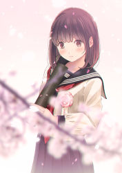 Rule 34 | 1girl, bad id, bad pixiv id, black sailor collar, black serafuku, black shirt, black skirt, blurry, blurry foreground, blush, brown eyes, brown hair, cherry blossoms, chikuwa (odennabe), closed mouth, collarbone, commentary request, depth of field, flower, head tilt, holding, jacket, long sleeves, looking at viewer, neckerchief, open clothes, open jacket, original, petals, pleated skirt, red flower, red neckerchief, red rose, rose, sailor collar, school uniform, serafuku, shirt, skirt, solo, spring (season), tube