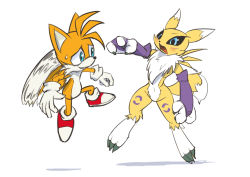 Rule 34 | black sclera, blue eyes, blush, colored sclera, digimon, fox, furry, highres, renamon, shoes, sonic (series), tail, tails (sonic)