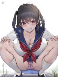 Rule 34 | 1girl, black footwear, blue skirt, blush, breasts, cleavage, collarbone, commentary, commentary request, grin, highres, large breasts, long hair, long sleeves, looking at viewer, oekakizuki, original, panties, parted lips, pink panties, plant, purple eyes, school uniform, serafuku, shirt, shoes, simple background, skirt, smile, socks, solo, spread legs, squatting, thighs, two side up, underwear, white background, white shirt, white socks