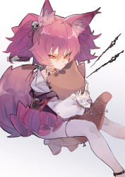 Rule 34 | 1girl, aaoshigatoutoi, absurdres, animal ear fluff, animal ears, arknights, feet out of frame, fox ears, fox girl, fox tail, hair between eyes, hair ornament, heart, heart-shaped pupils, highres, invisible chair, long sleeves, looking at viewer, medium hair, pantyhose, pink hair, red eyes, shamare (arknights), shirt, simple background, sitting, skull hair ornament, solo, symbol-shaped pupils, tail, twintails, white background, white pantyhose, white shirt