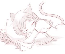 Rule 34 | 1girl, animal ears, cat ears, cat tail, closed eyes, long hair, miyuki rei, monochrome, hugging object, pillow, pillow hug, pixiv fantasia, pixiv fantasia sword regalia, sleeping, solo, tail