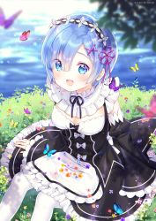 Rule 34 | 1girl, :d, animal, apron, bad id, bad pixiv id, black dress, black sleeves, blue eyes, blue flower, blue hair, blurry, blurry background, blurry foreground, blush, bug, butterfly, commentary, depth of field, detached sleeves, dress, fingernails, flower, frilled dress, frills, hair between eyes, hair ornament, hair ribbon, hairclip, highres, insect, juliet sleeves, long sleeves, nami (nyaa), open mouth, pantyhose, puffy sleeves, purple flower, purple ribbon, re:zero kara hajimeru isekai seikatsu, red flower, rem (re:zero), ribbon, short hair, sleeves past wrists, smile, solo, spring (season), symbol-only commentary, waist apron, water, white apron, white pantyhose, wide sleeves, x hair ornament, yellow flower