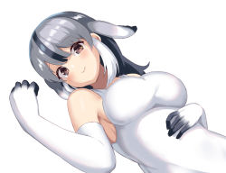 Rule 34 | 1girl, bearded seal (kemono friends), blush, breasts, brown eyes, dress, elbow gloves, gloves, grey hair, hair behind ear, highres, kemono friends, kemono friends 3, looking at viewer, lying, medium breasts, multicolored hair, sawara noa, smile, solo, streaked hair, white background, white dress, white gloves