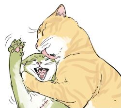 Rule 34 | animal focus, animal hands, animalization, annoyed, cat, curly eyebrows, facial hair, goatee, licking another&#039;s head, no.6 (numberr 6), one piece, roronoa zoro, sanji (one piece), upper body