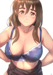 1girl arms_behind_back black_skirt blue_bra blush bra breasts brown_eyes brown_hair cleavage closed_mouth collarbone commentary eringi25 hair_between_eyes highres large_breasts looking_at_viewer medium_hair no_shirt original signature simple_background skirt smile solo thick_eyebrows underwear upper_body white_background