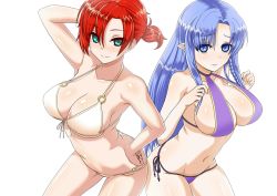 Rule 34 | 2girls, bikini, blue eyes, blue hair, blush, boudica (fate), braid, breasts, medea (fate), cleavage, cowboy shot, fate/grand order, fate/stay night, fate (series), green eyes, large breasts, long hair, looking at viewer, multiple girls, navel, pointy ears, ponytail, red hair, robisonjr, short hair, side braid, smile, swimsuit