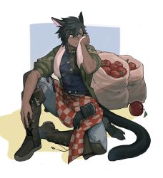 Rule 34 | 1boy, animal ears, apple, warrior of light (ff14), belt, black belt, black gloves, black hair, black tail, blanket, blue pants, boots, brown footwear, buckle, checkered blanket, closed mouth, commentary request, covered abs, cross-laced footwear, dark-skinned male, dark skin, fictional persona, final fantasy, final fantasy xiv, food, fruit, full body, gloves, unworn gloves, green eyes, green jacket, hair between eyes, hand on own leg, hand up, jacket, jpeg artifacts, lace-up boots, looking away, male focus, miqo&#039;te, mn (zig r14), open clothes, open jacket, pants, puffy sleeves, red background, sack, scar, scar on face, short hair, sitting, smile, solo, tail, toned, toned male, towel, towel around neck, white background, white towel, wiping face