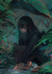 Rule 34 | 1girl, asui tsuyu, bad id, bad twitter id, boku no hero academia, bug, casual, frog girl, hair rings, highres, insect, ladybug, leaf, long hair, low-tied long hair, plant, puddle, sandals, solo, vegetation, water, yoyosketch