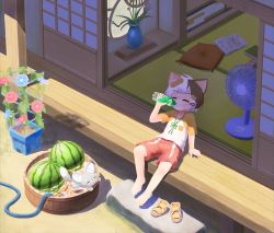 Rule 34 | 1boy, animal ears, architecture, barefoot, bottle, brown hair, cat boy, cat ears, character request, check character, child, commentary request, day, drinking, east asian architecture, electric fan, flower, food, fruit, giuniu-yo1021, highres, holding, holding bottle, indie virtual youtuber, male focus, multicolored hair, on floor, outdoors, pillow, plant, potted plant, red shorts, rock, short hair, short sleeves, shorts, shouji, sitting, sliding doors, submerged, tatamaru (vtuber), two-tone hair, virtual youtuber, watermelon, white hair, wooden floor