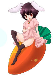 Rule 34 | 1girl, :p, animal ears, bad id, bad pixiv id, black hair, carrot, clothes lift, feet, female focus, inaba tewi, machiko (beard), no panties, red eyes, simple background, skirt, skirt lift, solo, thighhighs, tongue, tongue out, touhou, white background