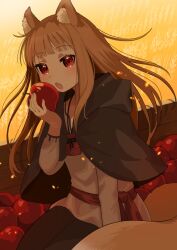 Rule 34 | 1girl, :o, animal ear fluff, animal ears, apple, black capelet, black pants, blunt bangs, blush, brown hair, capelet, commentary request, cowboy shot, eyelashes, fang, floating hair, food, fruit, hand up, highres, holding, holding food, holding fruit, holo, light particles, long hair, long sleeves, looking at viewer, open mouth, outdoors, pants, red apple, red eyes, shirt, sidelocks, sitting, skin fang, solo, spice and wolf, straight hair, tail, tsukimi okayu, tsurime, wheat field, white shirt, wolf ears, wolf girl, wolf tail