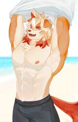 Rule 34 | 1boy, abs, absurdres, adkt, animal ears, arknights, bara, beach, black pants, colored tips, commentary, english commentary, fangs, furry, furry male, highres, hung (arknights), looking at viewer, male focus, multicolored hair, ocean, one eye closed, open mouth, pants, partially undressed, pectorals, sand, shirt, smile, tail, undressing, water, white shirt