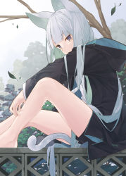 Rule 34 | 1girl, animal ears, bare legs, barefoot, black hoodie, black shorts, blunt bangs, cat ears, cat girl, cat tail, day, feet out of frame, fence, green hair, highres, hood, hood down, hoodie, knees up, leaf, leaning forward, long hair, long sleeves, looking down, multicolored hair, original, outdoors, outstretched arm, purple eyes, shorts, silver hair, sitting, solo, tail, tokuno yuika, tree, two-tone hair, very long hair, wind