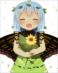 Rule 34 | 1girl, antennae, aqua hair, bad id, bad pixiv id, blush, butterfly wings, closed eyes, dress, eternity larva, facing viewer, fairy, fang, flower, green dress, holding, holding flower, insect wings, leaf, leaf on head, multicolored clothes, multicolored dress, open mouth, poco (zdrq3), short hair, single strap, smile, solo, sunflower, touhou, upper body, white background, wings, yellow flower