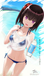 Rule 34 | 1girl, :d, beach, bikini, bikini under clothes, black hair, blue bikini, bottle, bow, breasts, crop top, day, front-tie bikini top, front-tie top, groin, hair bow, halterneck, hand up, highres, holding, holding bottle, looking at viewer, medium hair, navel, no pants, one side up, open mouth, original, outdoors, purple eyes, see-through, shirt, side-tie bikini bottom, side-tie shirt, small breasts, smile, solo, standing, stomach, string bikini, swimsuit, tea (nakenashi), thighs, water, wet, wet clothes, wet shirt, white shirt