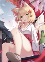 Rule 34 | 1girl, animal ears, architecture, autumn leaves, bad anatomy, bell, blonde hair, bottle, breasts, cleavage, cup, day, east asian architecture, fox ears, fox tail, green eyes, hair bell, hair ornament, highres, japanese clothes, looking at viewer, medium breasts, miko, open mouth, original, sakazuki, sake bottle, sandals, short hair, sitting, solo, tail, touhourh