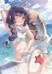 Rule 34 | 1girl, absurdres, arm behind head, arm up, bare shoulders, barefoot, bikini, bikini bottom pull, bird, black hair, blue archive, blush, braid, breasts, cloud, commentary, day, grey halo, halo, hat, hat on back, highres, jjamu, leaf, leaf on head, leaf print, long hair, looking at viewer, miyu (blue archive), miyu (swimsuit) (blue archive), navel, official alternate costume, open mouth, outdoors, print bikini, red eyes, seagull, seiza, sidelocks, sitting, small breasts, solo, starfish, stomach, straw hat, swimsuit, twin braids, water, wet, white bikini