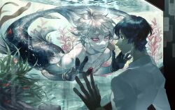 Rule 34 | 2boys, against glass, air bubble, animal, aqua eyes, arjuna (fate), armlet, black hair, black skin, blue hair, bubble, caustics, closed mouth, colored skin, dark-skinned male, dark skin, eye contact, eyeliner, eyeshadow, face-to-face, fate/grand order, fate (series), fish, fish tank, gem, goldfish, grey hair, grey skin, hand on glass, hands up, highres, jewelry, karna (fate), looking at another, makeup, male focus, merman, monster boy, monsterification, multicolored skin, multiple boys, neck ring, note, nude, parted lips, profile, red gemstone, sailin, seaweed, shirt, short hair, submerged, white hair, white shirt