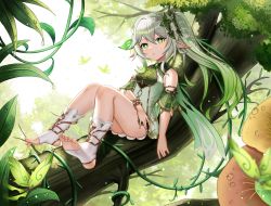 Rule 34 | absurdres, bare shoulders, barefoot, bracer, colored tips, commentary, cross-shaped pupils, crystalfly (genshin impact), day, detached sleeves, dress, feet, full body, genshin impact, gold trim, gradient hair, green eyes, green hair, hair ornament, highres, in tree, leaf hair ornament, long hair, melreon, multicolored hair, nahida (genshin impact), nature, no shoes, outdoors, parted lips, plant, pointy ears, short dress, short sleeves, side ponytail, sitting, sitting in tree, socks, stirrup legwear, symbol-shaped pupils, thighs, toeless legwear, toes, tree, two-tone hair, vines, white hair, white socks