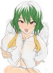 Rule 34 | 1boy, 1girl, breast hold, breasts, breasts squeezed together, bursting breasts, cum, cum on body, cum on breasts, cum on upper body, ejaculation, green hair, hetero, highres, huge breasts, kazami yuuka, kloah, paizuri, paizuri under clothes, penis, red eyes, shirt, short hair, simple background, sketch, tongue, touhou, uncensored, white background
