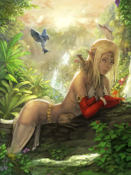 Rule 34 | 1girl, animal, bad id, bad pixiv id, bird, blonde hair, blue eyes, breasts, chipmunk, cleavage, elbow gloves, elf, feathers, food, forest, fruit, gloves, grapes, jewelry, lips, long hair, lying, midriff, nature, original, pointy ears, red gloves, solo, squirrel, take no ko (dodon), thighhighs, tree, white thighhighs