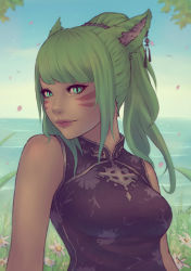 Rule 34 | 10s, 1girl, animal ears, breasts, cat ears, china dress, chinese clothes, day, dress, facial mark, final fantasy, final fantasy xiv, flower, green eyes, green hair, lips, long hair, medium breasts, miqo&#039;te, outdoors, petals, ponytail, slit pupils, solo, soranamae, upper body, warrior of light (ff14), wind
