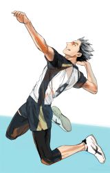 Rule 34 | 1boy, airsthiner, arm up, black hair, black legwear, blue background, bokuto koutarou, full body, grey hair, haikyuu!!, jumping, knee pads, looking to the side, looking up, male focus, midair, multicolored background, multicolored hair, shirt, short hair, short sleeves, shorts, simple background, solo, sportswear, t-shirt, teeth, two-tone hair, volleyball uniform, white background, white footwear