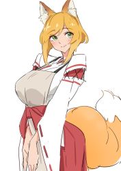 Rule 34 | 1girl, alternate breast size, animal ear fluff, animal ears, apron, baron (nsbaron), blonde hair, blush, breasts, commentary request, cowboy shot, fox ears, fox tail, green eyes, hakama, hakama skirt, japanese clothes, large breasts, looking away, miko, aged up, ribbon trim, senko (sewayaki kitsune no senko-san), sewayaki kitsune no senko-san, simple background, sketch, skirt, smile, solo, tail, white background, wide sleeves