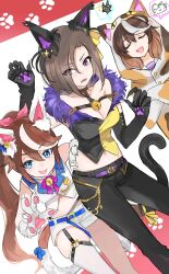 Rule 34 | adapted costume, air groove (umamusume), animal costume, animal ears, black gloves, black pants, blue eyes, breasts, brown hair, cat costume, cleavage, commentary, ear covers, elbow gloves, fang, gloves, hair between eyes, halloween costume, highres, horse ears, horse girl, horse tail, kik1, large breasts, long hair, looking at viewer, midriff, multicolored hair, navel, pants, ponytail, purple eyes, short hair, short shorts, shorts, streaked hair, symbol-only commentary, symboli rudolf (umamusume), tail, tokai teio (umamusume), two-tone hair, umamusume, white hair, white shorts