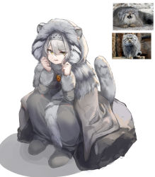 Rule 34 | 1girl, absurdres, animal, animal request, boots, boulder, cape, capelet, commentary, dress, ears through headwear, english commentary, fang, full body, fur-trimmed hood, fur-trimmed sleeves, fur capelet, fur trim, grey cape, grey dress, grey footwear, grey hair, grey scarf, grey theme, annoyed, hairband, hands up, highres, hood, hood up, hooded cape, jewelry, long sleeves, looking at viewer, mole, necklace, original, pendant, personification, pet, photo-referenced, photo inset, polyvora, reference photo, scarf, simple background, sitting, solo, tail, uneven eyes, white background, yellow eyes