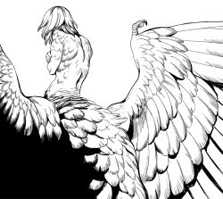 Rule 34 | 1girl, chimera, dungeon meshi, falin touden, feathers, from behind, monochrome, monster girl, solo, wings