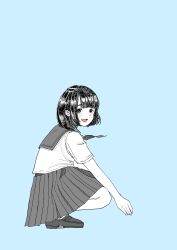 Rule 34 | 1girl, absurdres, black footwear, black hair, blue background, grey sailor collar, grey skirt, highres, looking at viewer, medium hair, mihorinxza, open mouth, original, pleated skirt, sailor collar, shirt, shoes, short sleeves, simple background, skirt, smile, solo, spot color, squatting, white shirt