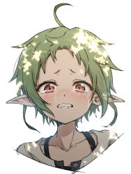 Rule 34 | 1girl, absurdres, ahoge, blush, cropped torso, crying, crying with eyes open, dappled sunlight, elf, green hair, highres, looking at viewer, mushoku tensei, nishizuki shino, nose blush, pointy ears, red eyes, short hair, simple background, solo, sunlight, sylphiette (mushoku tensei), tears, white background