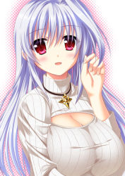 Rule 34 | 00s, 1girl, blush, breasts, cleavage, cleavage cutout, clothing cutout, endori, jewelry, large breasts, long hair, lyrical nanoha, mahou shoujo lyrical nanoha, md5 mismatch, meme attire, necklace, open-chest sweater, red eyes, reinforce, resolution mismatch, ribbed sweater, silver hair, solo, source smaller, sweater, turtleneck, upper body
