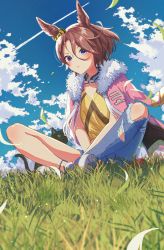 Rule 34 | 1girl, absurdres, animal ears, asymmetrical clothes, blue eyes, blush, brown hair, cat, closed mouth, cloud, commentary, contrail, denim, fur-trimmed jacket, fur trim, grass, highres, horse ears, houkou illust, indian style, jacket, jacket on shoulders, jeans, looking at viewer, narita taishin (umamusume), outdoors, pants, pink jacket, shirt, shoes, short hair, single pantsleg, sitting, sneakers, solo, torn clothes, torn jeans, torn pants, umamusume, v-shaped eyebrows, wind, yellow shirt