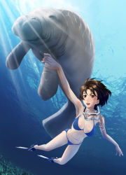 Rule 34 | 1girl, animal, bad id, bad pixiv id, bikini, blush, breasts, brown eyes, brown hair, diving mask, fins, flippers, freediving, from below, goggles, highres, light rays, manatee, navel, open mouth, original, scuba, sea cow, short hair, smile, snorkel, solo, stomach, string bikini, sunbeam, sunlight, swimsuit, thighs, tooo, underwater, water