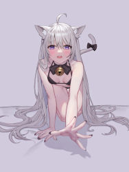 Rule 34 | 1girl, absurdres, ahoge, animal ears, bare arms, bare legs, bare shoulders, bikini, cat ears, cat girl, cat tail, climbing, eyebrows hidden by hair, grey background, hair between eyes, halterneck, highres, long hair, looking at viewer, nail polish, open mouth, original, reaching, reaching towards viewer, ribbon, silver hair, simple background, sugarhigh, swimsuit, tail, tail ornament, tail ribbon, underwear, very long hair