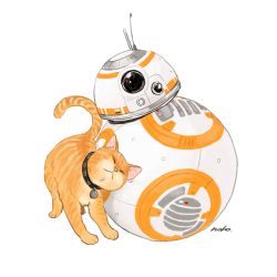 Rule 34 | :&lt;, animal, animification, bb-8, cat, closed eyes, closed mouth, collar, full body, matsuri6373, millicent (star wars), no humans, non-humanoid robot, nuzzle, robot, signature, simple background, star wars, star wars: the force awakens, whiskers, white background