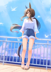 Rule 34 | 1girl, admire vega (umamusume), animal ears, bird, blue shorts, blurry, blush, breasts, brown hair, closed mouth, cloud, contrail, depth of field, full body, hair between eyes, hair ornament, hair scrunchie, hair tie, highres, horizon, horse ears, horse girl, horse tail, katuko deluxe, legs, long hair, long sleeves, looking to the side, low ponytail, nail polish, outdoors, pink eyes, railing, sandals, scrunchie, seagull, shirt, shirt tucked in, shorts, sideways mouth, small breasts, smile, solo, standing, sunlight, tail, toenail polish, toenails, toes, umamusume, water, white shirt